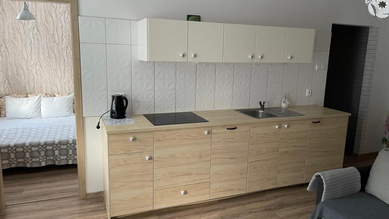 Apartament Goralska 格但斯克 外观 照片