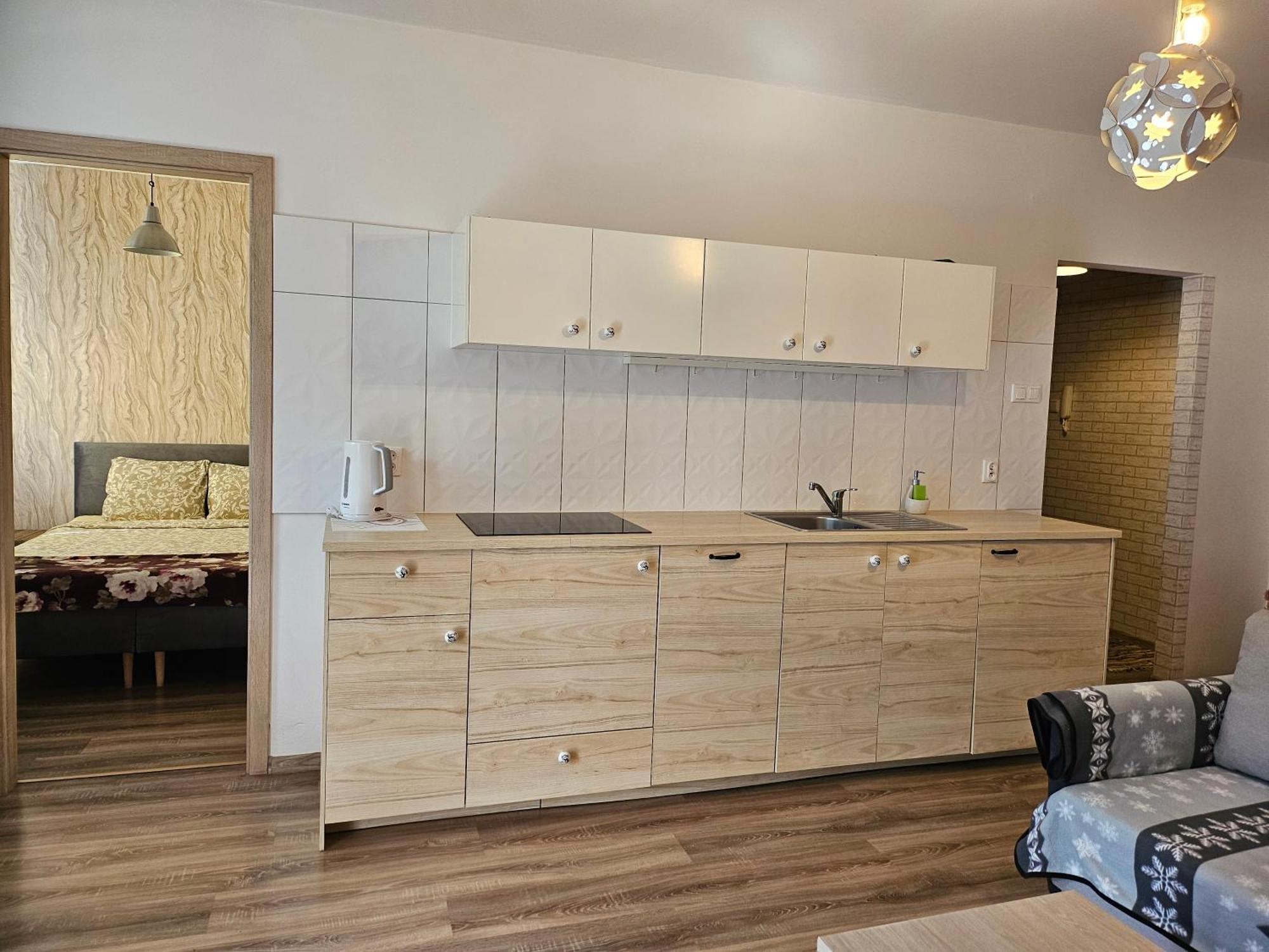Apartament Goralska 格但斯克 外观 照片